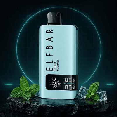 Elfbar TE30K na variacao Miami Mint